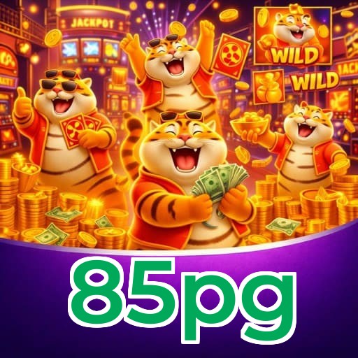 Tabela completa programa VIP 85pg mostrando 5 níveis Bronze Silver Gold Platinum Diamond requisitos benefícios cashback